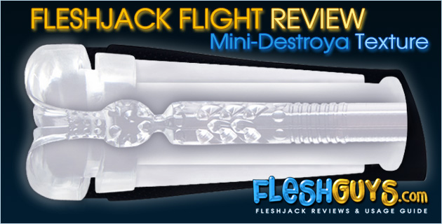 Fleshjack Flight Pilot Review